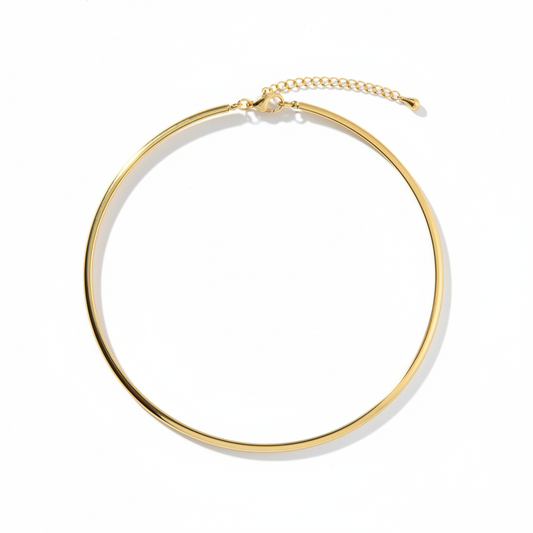 Delicate Chain Adjustable Choker