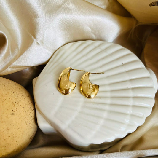 Ceelo Earrings