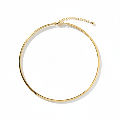 Delicate Chain Adjustable Choker