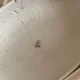 Small A Pendant